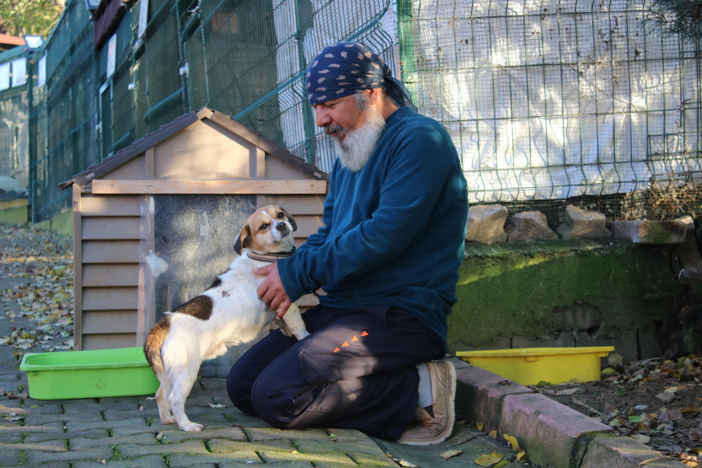 Vatandaşlar zamanla yarıştı! Boğulan köpeğe dakikalarca kalp masajı yaptılar 7