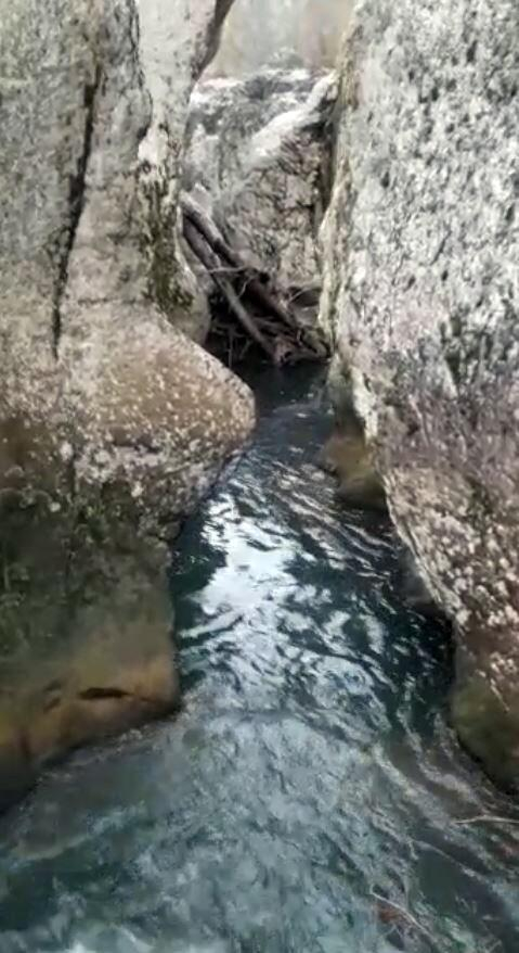 Karacayı kurtarmak için soğuk havaya aldırış etmeden suya girdiler 3