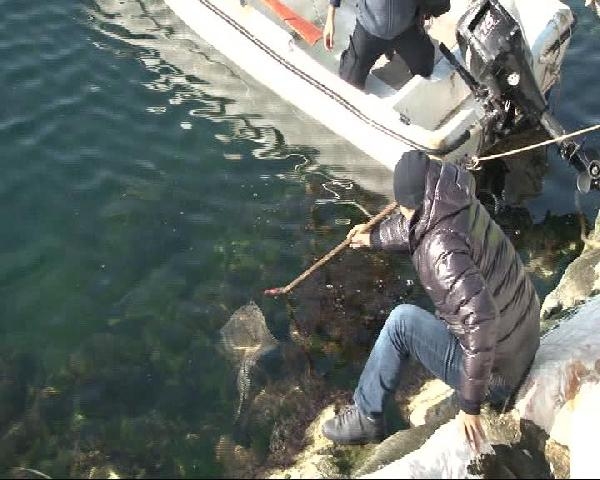 İstanbul'da sahile vurdular görenler şaştı kaldı! 12