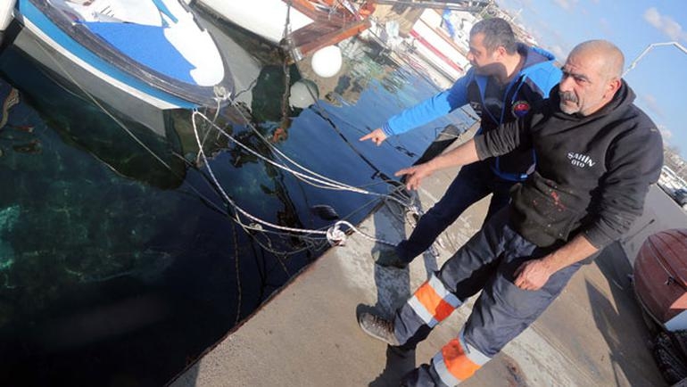 İstanbul'da sahile vurdular görenler şaştı kaldı! 3