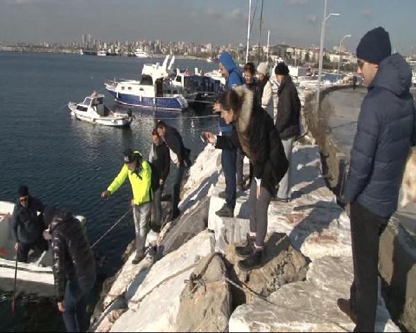 İstanbul'da sahile vurdular görenler şaştı kaldı! 6