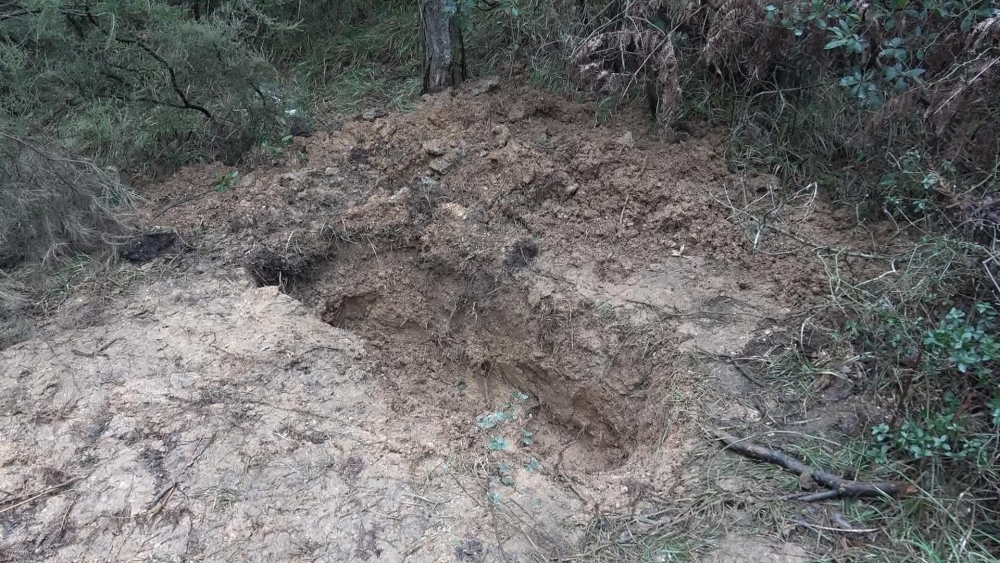 Arnavutköy'de battaniye sarılı kadın cesedi bulundu 8