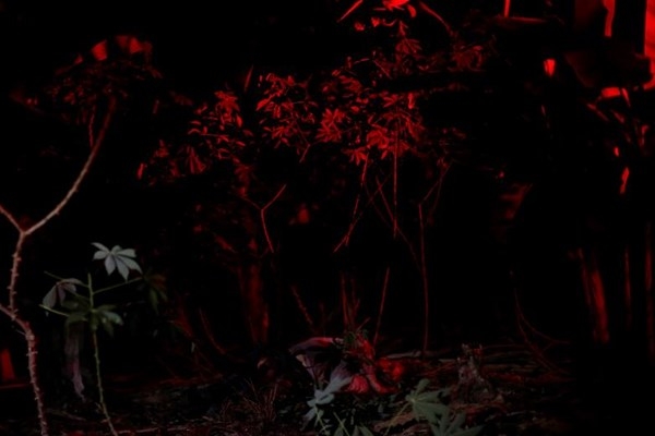 Reuters 2017'nin en iyi 100 fotoğrafını seçti. 35