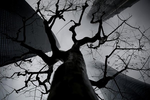 Reuters 2017'nin en iyi 100 fotoğrafını seçti. 77