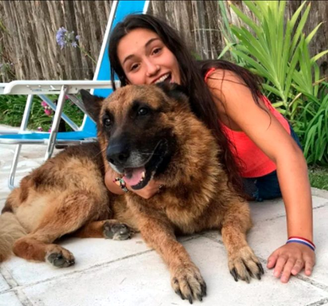 Köpek ile fotoğraf çektirmek isteyen kız, az kalsın suratını kaybediyordu! 2