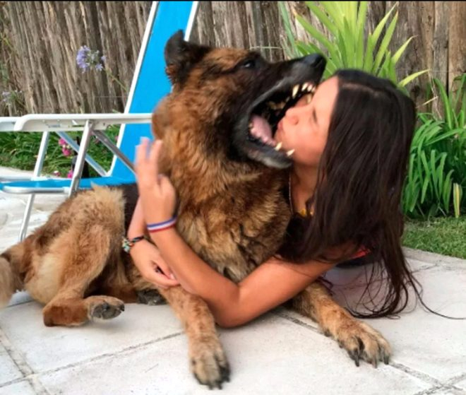Köpek ile fotoğraf çektirmek isteyen kız, az kalsın suratını kaybediyordu! 3