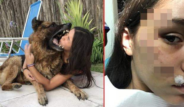 Köpek ile fotoğraf çektirmek isteyen kız, az kalsın suratını kaybediyordu! 6