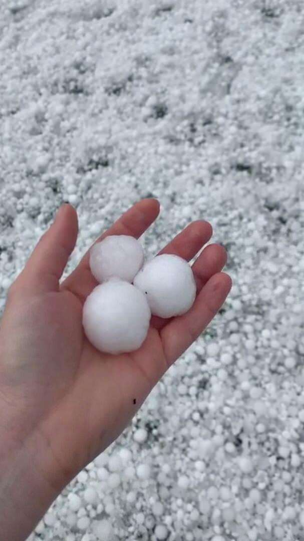 Avustralya'da yangın felaketinden sonra bir şok daha! 1