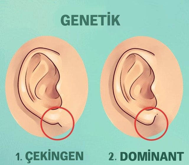 Burnunuz karakterinizi ele veriyor mu? 21