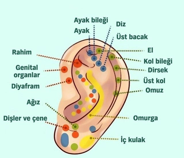 Burnunuz karakterinizi ele veriyor mu? 27