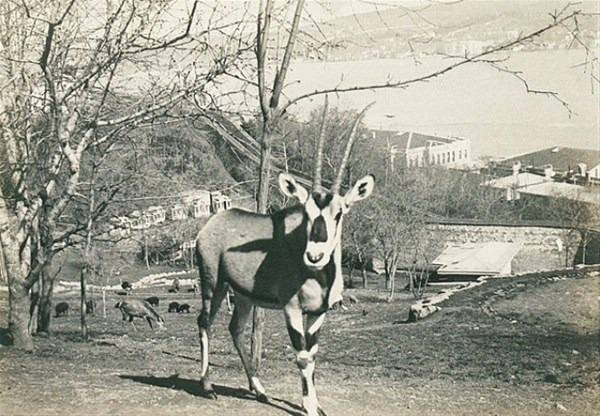 İstanbul'un nostaljik yıllarından kareler 27