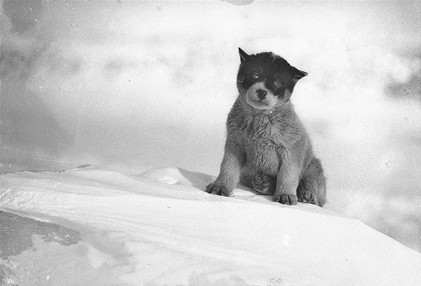 Hiç görülmemiş fotoğraflar 39