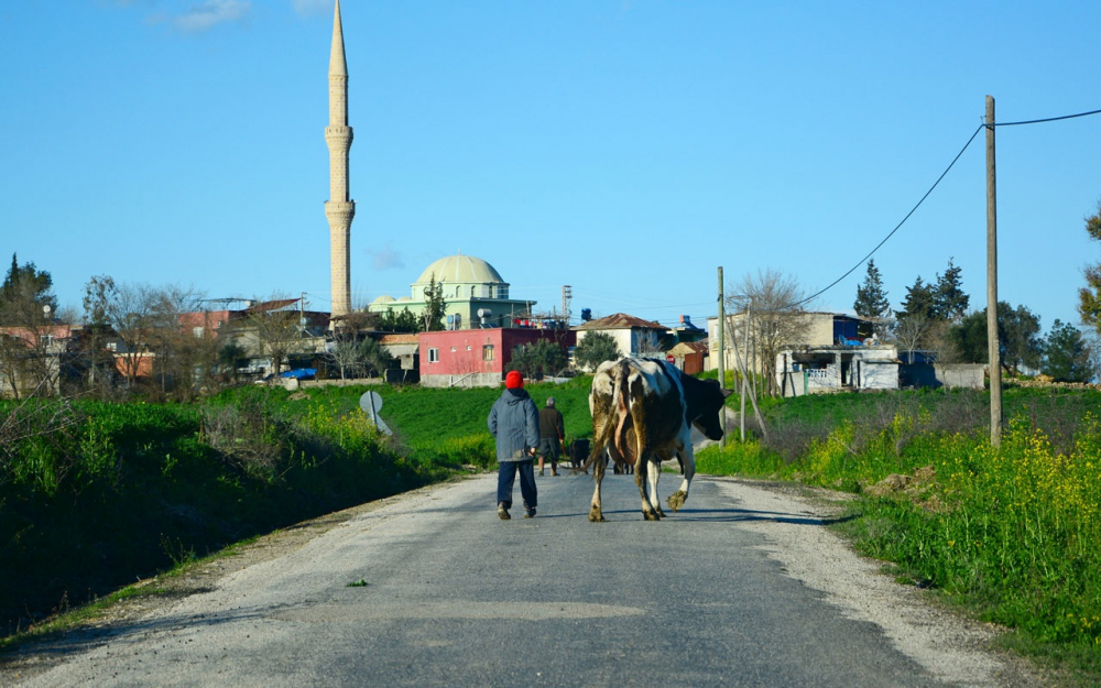 Adana ve ilçelerinin nüfusu 2021'de ne kadar oldu? 5