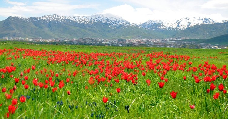 Muş nüfusu ne kadar? Muş ilçe nüfusları 2021 3