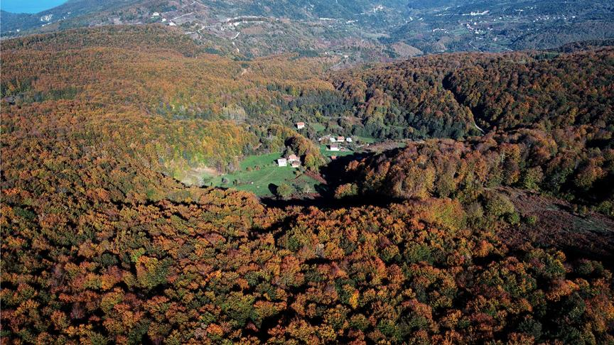 Kastamonu nüfusu ne kadar? Kastamonu ilçe nüfusları 2021 13