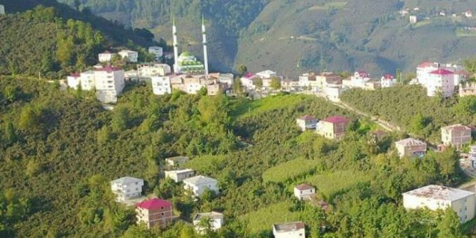 Giresun nüfusu ne kadar? Giresun ilçe nüfusları 2021 9