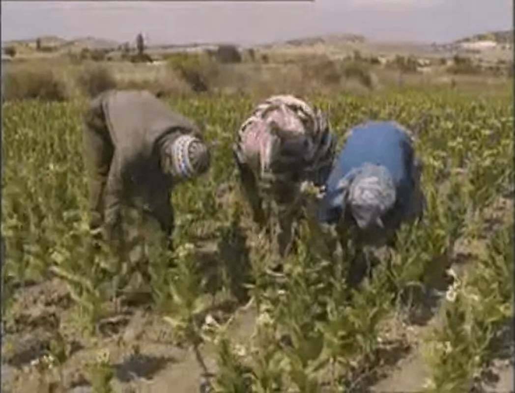 Türkiye tarihinin en korkutucu, en unutulmayacak cinayet hikayesi: Kırkağaç Yamyamı 2