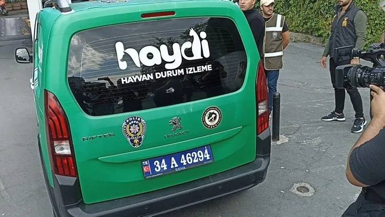 Polisimizi şehit eden suç makinesine hak ettiği muamele! Çöp poşeti giydirip hayvan aracına bindirildi 8