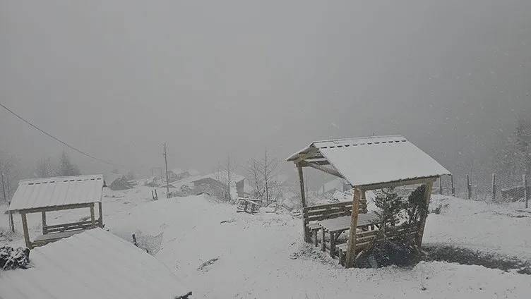 Yarın okullar tatil mi? Valiler peş peşe açıkladı! 25 Kasım Pazartesi bu illerde okullara kar tatili! 1