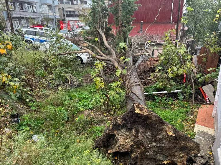 Çatılar uçtu araçlar yolda kaldı! İstanbul'da kuvvetli yağış fırtına etkili oluyor 6