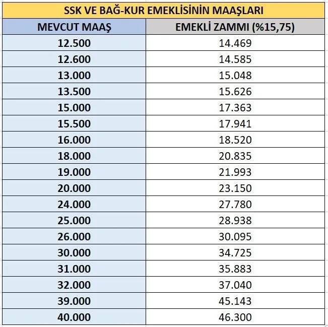 Emekli ve memur zammı belli oldu! Kim ne kadar alacak? İşte 2025 maaşları: Polis, Öğretmen, engelli, yaşlı aylığı... 6