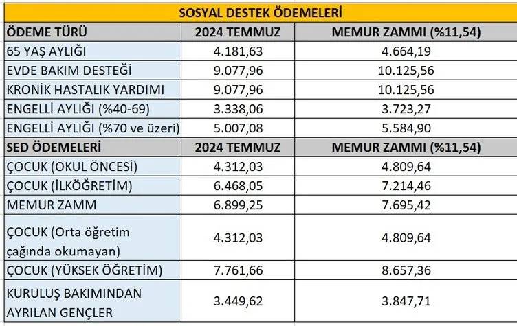 Emekli ve memur zammı belli oldu! Kim ne kadar alacak? İşte 2025 maaşları: Polis, Öğretmen, engelli, yaşlı aylığı... 9