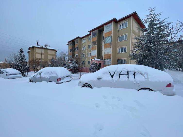 Kar Doğu'yu fena vurdu, araçlar yollarda kaldı! Van, Bitlis ve Muş'ta yollar kapandı: 293 yerleşim birimine ulaşım sağlanamıyor! 5