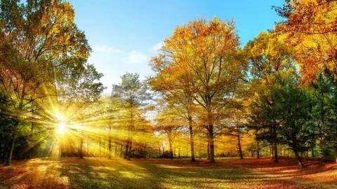 Sıcaklıklar sizi aldatmasın, kış geri dönüyor! Cumartesi hava nasıl olacak, bugün hava nasıl? 6