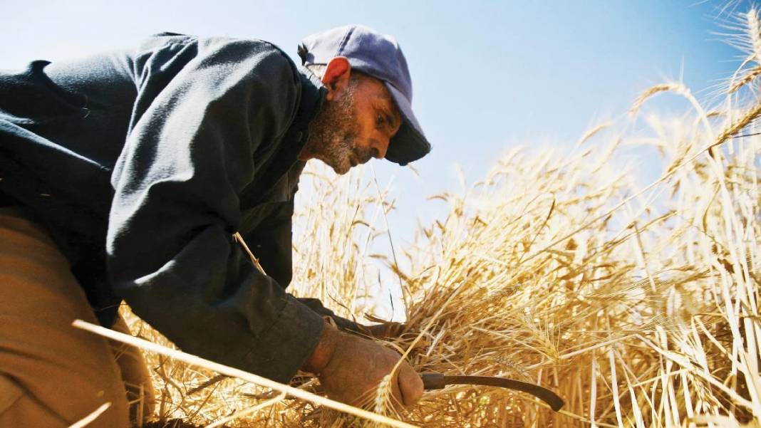 Bakan "hayırlı olsun" dedi, düğmeye bastı: Hesaplarınızı kontrol edin, paralar yatırılmaya başlandı! 2