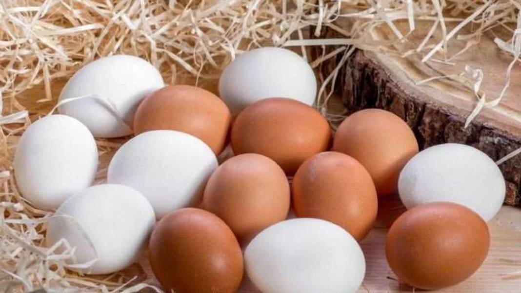 Yumurta fiyatlarına zam: İhracat, kış verimsizliği ve Ramazan etkisiyle fiyatlar yükseldi 4