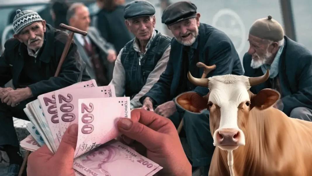 Kurban Bayramı emekli ikramiyesi hesaplara yatacağı tarih belli oldu! Kim ne kadar Bayram ikramiyesi alacak? 9