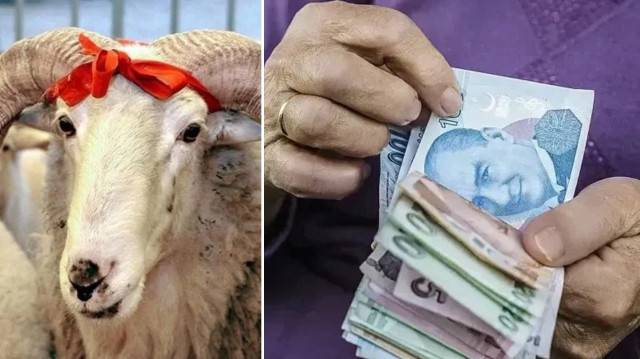 Kurban Bayramı emekli ikramiyesi hesaplara yatacağı tarih belli oldu! Kim ne kadar Bayram ikramiyesi alacak? 5