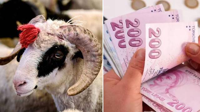 Kurban Bayramı emekli ikramiyesi hesaplara yatacağı tarih belli oldu! Kim ne kadar Bayram ikramiyesi alacak? 2