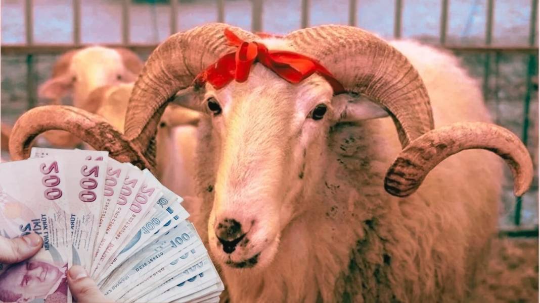Kurban Bayramı emekli ikramiyesi hesaplara yatacağı tarih belli oldu! Kim ne kadar Bayram ikramiyesi alacak? 7
