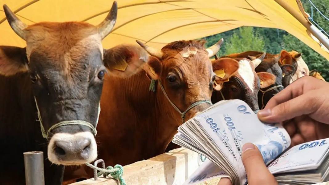 Kurban Bayramı emekli ikramiyesi hesaplara yatacağı tarih belli oldu! Kim ne kadar Bayram ikramiyesi alacak? 6