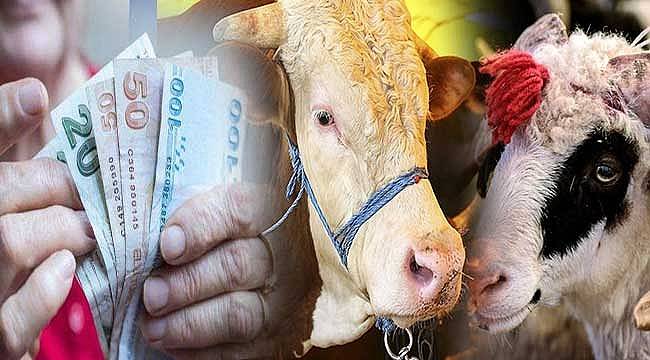 Kurban Bayramı emekli ikramiyesi hesaplara yatacağı tarih belli oldu! Kim ne kadar Bayram ikramiyesi alacak? 1