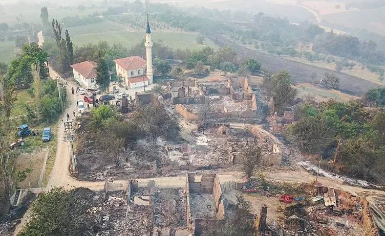 Orman yangın felaketi büyüyor: Sakarya ve Bilecik'te 16 köy tahliye edildi 11