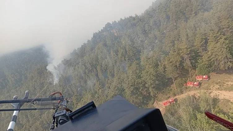 Orman yangın felaketi büyüyor: Sakarya ve Bilecik'te 16 köy tahliye edildi 13