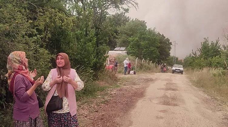 Orman yangın felaketi büyüyor: Sakarya ve Bilecik'te 16 köy tahliye edildi 14