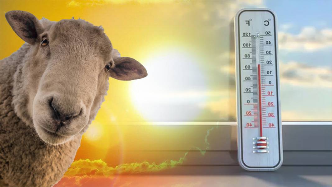 Meteoroloji son tahminlerini paylaştı: Kurban Bayramı'nda hava nasıl olacak? 10