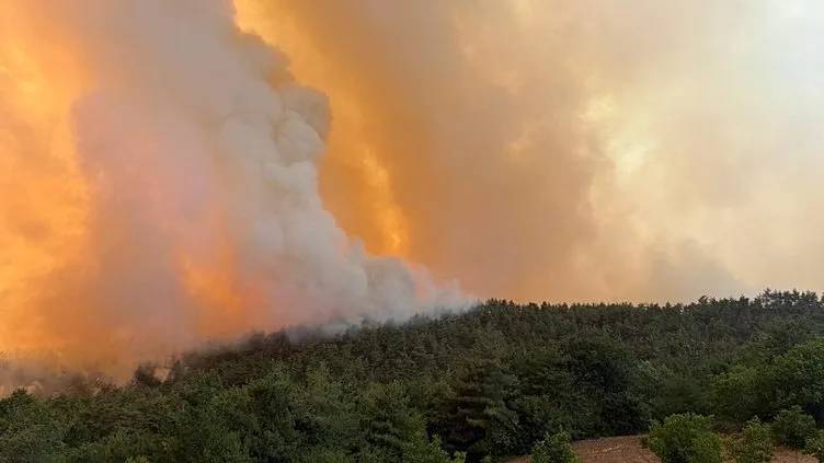 Orman yangın felaketi büyüyor: Sakarya ve Bilecik'te 16 köy tahliye edildi 5