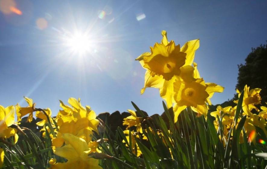 Meteoroloji uyardı: Türkiye sıcaktan kavrulacak! Cuma günü hava nasıl, bugün hava nasıl olacak? 3