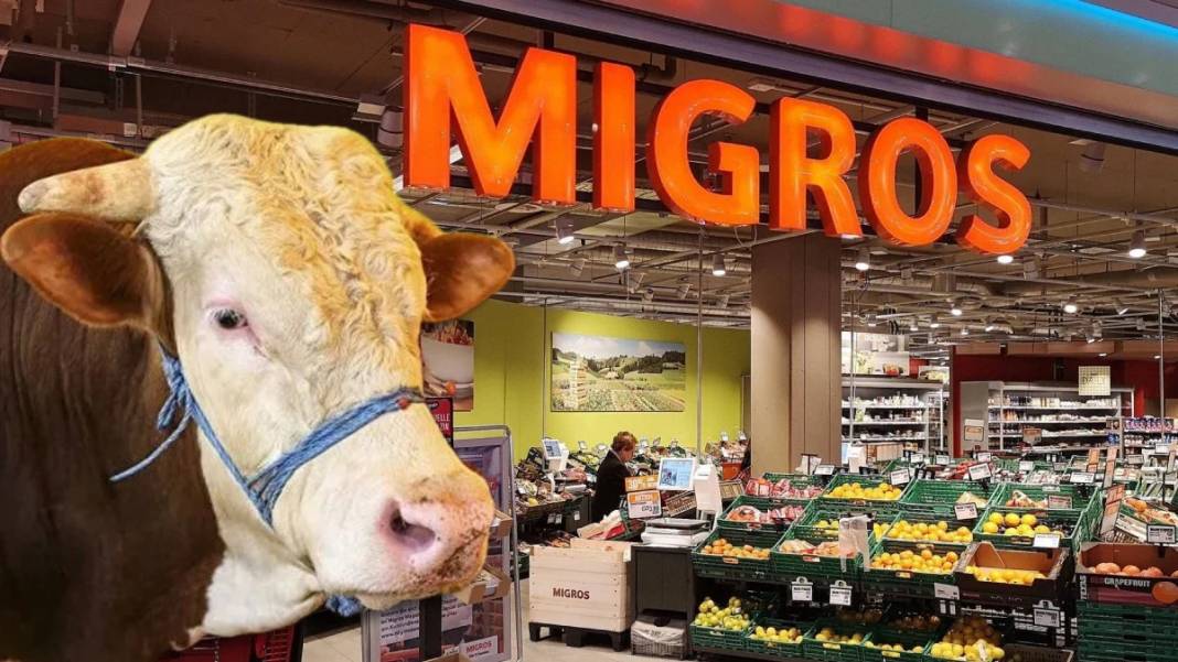 Zincir marketlerin kurban fiyatları belli oldu! CarrefourSA, Migros, BİM, A101, Şok Market Kurbanlık Fiyatları ne kadar? 4