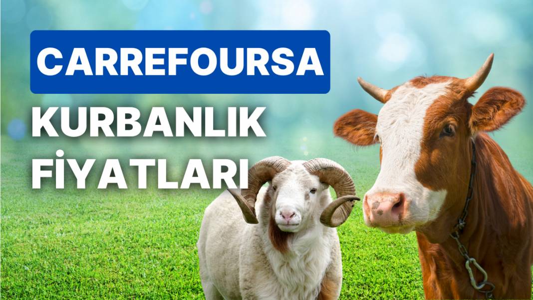Zincir marketlerin kurban fiyatları belli oldu! CarrefourSA, Migros, BİM, A101, Şok Market Kurbanlık Fiyatları ne kadar? 3