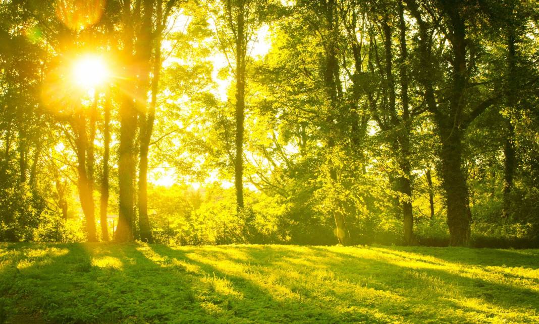 Meteoroloji son tahminlerini paylaştı: Kurban Bayramı'nda hava nasıl olacak? 8