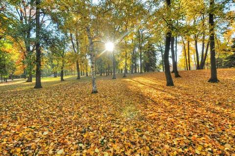 Meteoroloji son tahminlerini paylaştı: Kurban Bayramı'nda hava nasıl olacak? 9