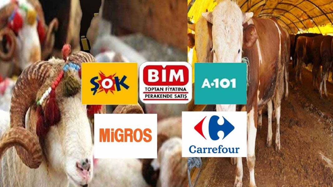 Zincir marketlerin kurban fiyatları belli oldu! CarrefourSA, Migros, BİM, A101, Şok Market Kurbanlık Fiyatları ne kadar? 12