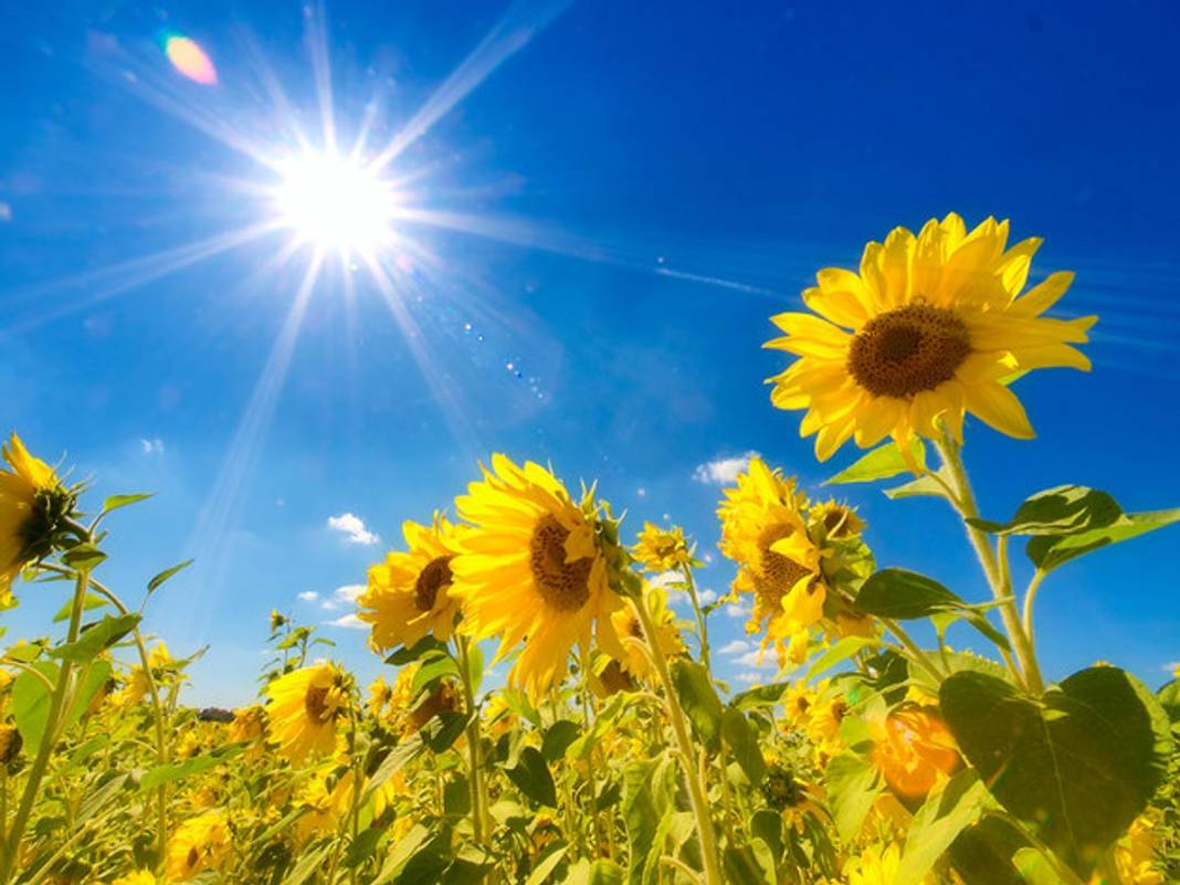 Meteoroloji uyardı: Türkiye sıcaktan kavrulacak! Cuma günü hava nasıl, bugün hava nasıl olacak? 5