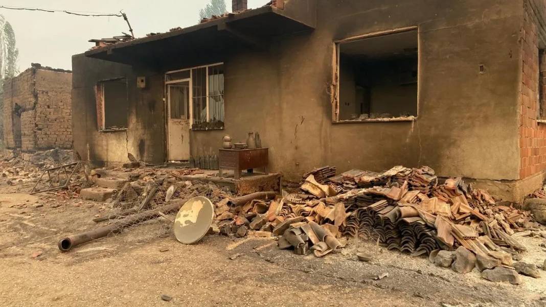 Bilecik'te köyler cayır cayır yanıyor: Yangın Sakarya'dan sonra hızla yayılarak Bilecik'e sıçradı 13