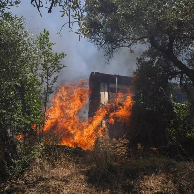 Son dakika: İzmir'in Çeşme ve Ödemiş ilçeleri alev alev yanıyor: Küle dönmüş evden ceset çıktı! 1